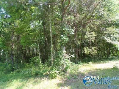 /international/us/-44-ac-hackberry-circle-hokes-bluff-al-110099327412/