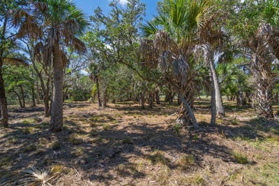 /international/us/35-hammocks-way-edisto-island-sc-110120452387/