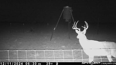 /international/us/tbd-fm-1919-seymour-tx-110097520582/