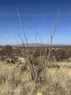 /international/us/6-6-acres-off-w-linda-vista-road-oracle-az-110097514165/