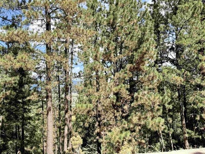 /international/us/vail-ave-lot-30a-angel-fire-nm-110110274184/