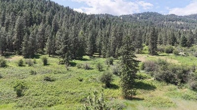 /international/us/20xx-northport-flat-creek-rd-kettle-falls-wa-110098401439/