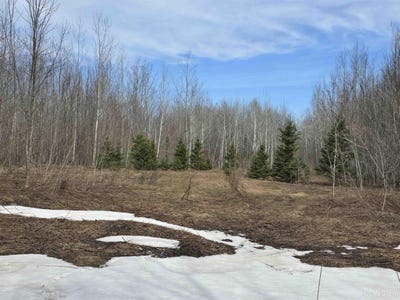 /international/us/woodspur-road-ontonagon-mi-110098594411/