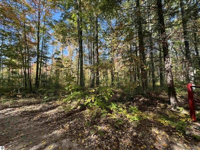 /international/us/00-cranberry-lake-road-prescott-mi-110101501630/?lang=zh-cn