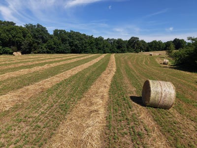 /international/us/7058-drennon-rd-campbellsburg-ky-110108233602/