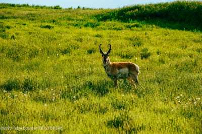 /international/us/841-recluse-road-recluse-wy-110085209753/?lang=zh-tw