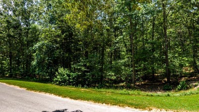 /international/us/334-logger-lane-cedar-grove-tn-110089348192/