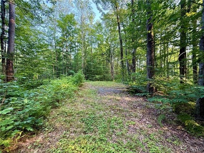 /international/us/11470-river-road-camden-ny-110108178306/