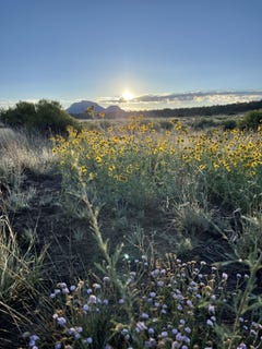 /international/us/165-reid-road-datil-nm-110102328625/