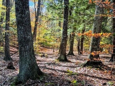 /international/us/29-31-white-brook-road-gilsum-nh-110103012021/
