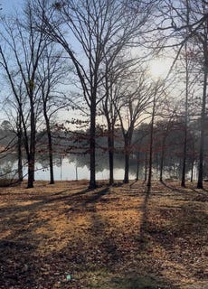 /international/us/kip-lane-lot-9-10-clinton-ar-110097973524/