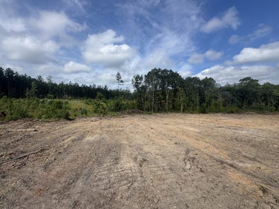 /international/us/0-celeste-road-citronelle-al-110102022766/