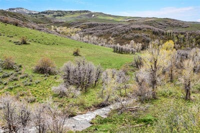 /international/us/tbd-county-road-80-hayden-co-110092589459/?lang=pt