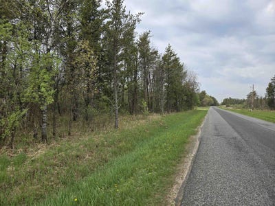 /international/us/10-acres-25th-street-necedah-wi-110100150932/?lang=en
