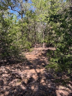 /international/us/000-county-road-304-lexington-tx-110103429921/
