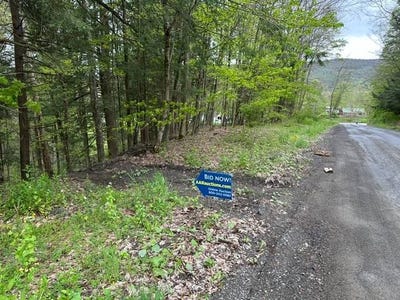 /international/us/116-oregon-rd-butternuts-ny-110108150071/