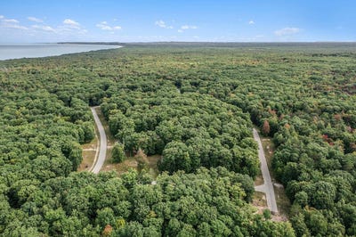 /international/us/pine-street-lot-3-mears-mi-110120118998/