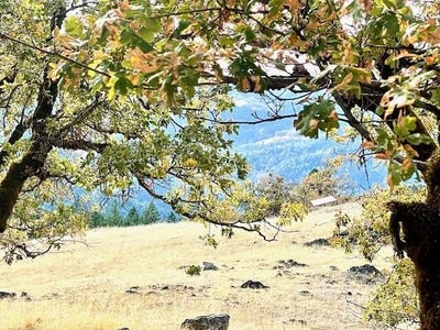 /international/us/40-acres-burr-valley-road-dinsmore-ca-110097639183/