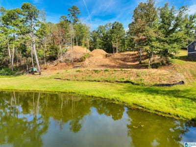 /international/us/whistler-way-lot-50-clanton-al-110120462080/