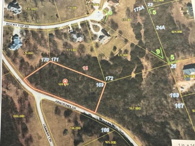 /international/us/169-panorama-lot-169-2-01-acres-drive-cape-fair-mo-110106763572/