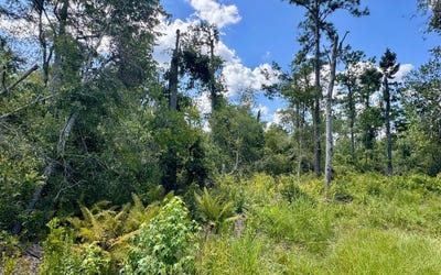 /international/us/lot71-nw-cr-152-jennings-fl-110101165698/?lang=zh-cn