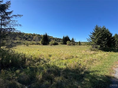 /international/us/county-road-96-hammondsport-ny-110102902323/