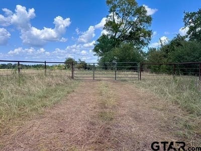 /international/us/an-county-road-437-frankston-tx-110119631062/