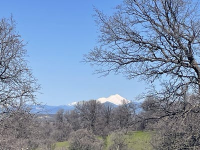 /international/us/lot-59-pimlico-court-cottonwood-ca-110096835930/