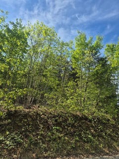 /international/us/628-mountain-creek-rd-lot-16-green-bay-va-110109506481/