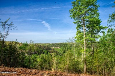/international/us/lot-51-grandview-way-jamestown-tn-110099369338/?lang=zh-cn
