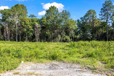 /international/us/000-walker-ave-new-ellenton-sc-110101425031/?lang=id