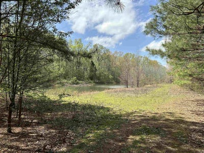 /international/us/53-center-point-loop-vilonia-ar-110105509276/