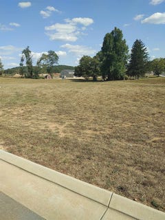 /international/us/travelers-terr-lot-36-fishersville-va-110102195884/
