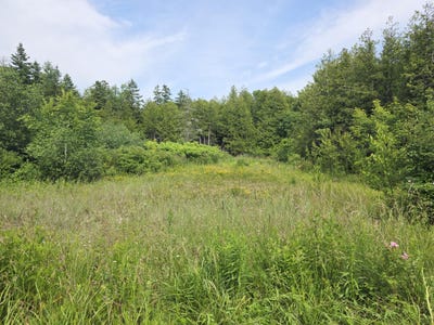 /international/us/00-chambers-st-st-ignace-mi-110098685846/