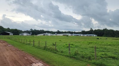 /international/us/nacogdoches-tx-110101366740/