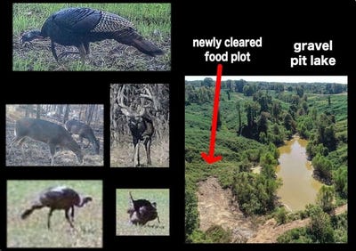 /international/us/173-cascilla-road-holcolmb-tallahatchie-county-ms-110089691189/