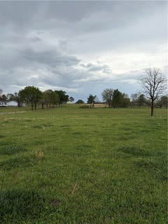 /international/us/311-lot-h-green-forest-ar-110105272583/