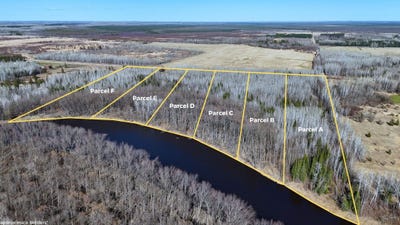 /international/us/county-road-79-lot-a-littlefork-mn-110108016733/