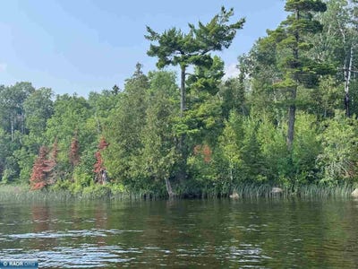 /international/us/tbd-lake-vermilion-n-tower-mn-110101039490/?lang=es