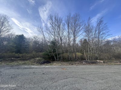 /international/us/fox-road-dingmans-ferry-pa-110107478526/
