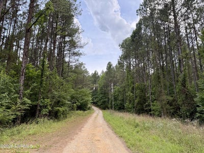 /international/us/cow-creek-road-meridian-ms-110108613855/?lang=zh-cn
