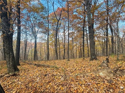 /international/us/madison-4275-road-lot-0-elkins-ar-110103524757/