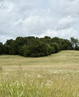 /international/us/10-2-acres-stewerd-drive-fordland-mo-110109069578/