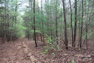 /international/us/350-sycamore-avenue-nw-unit-6-2-valdese-nc-110091435077/?lang=zh-tw