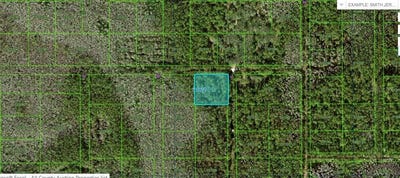 /international/us/n-a-polk-city-fl-110094195659/?lang=en