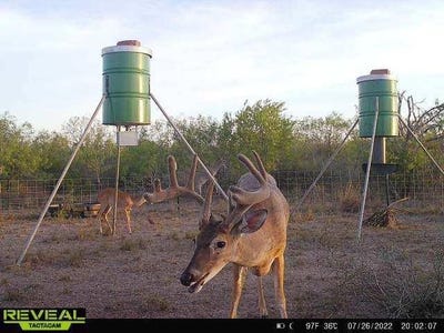 /international/us/sendero-creek-ranch-lot-track-4s-san-diego-tx-110108450559/