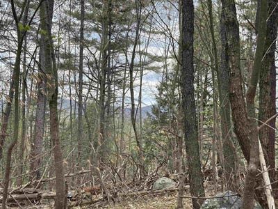 /international/us/0-snell-road-chester-vt-110092458326/