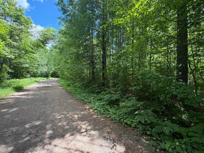 /international/us/maplestone-rd-lot-29-minocqua-wi-110108981877/