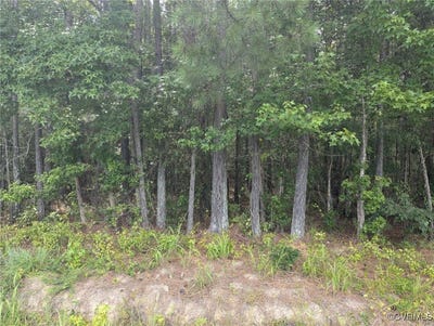 /international/us/little-mill-road-jarratt-va-110101121088/?lang=zh-cn