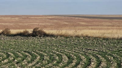 /international/us/001-county-road-wallace-ks-110104328813/